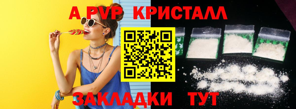 Альфа ПВП СК Великий Новгород
