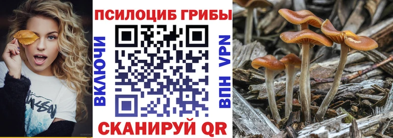 Галлюциногенные грибы GOLDEN TEACHER  omg маркетплейс  Великий Новгород 
