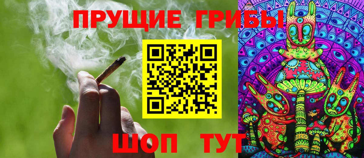 Великий Новгород  Галлюциногенные грибы Cubensis  Вход с VPN 